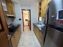 Tanglin View (D3), Condominium #471755431